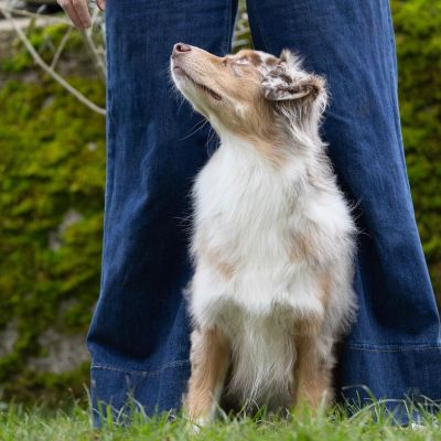 cours théorique eko